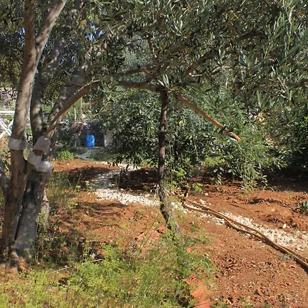 8093b Mali Lošinj