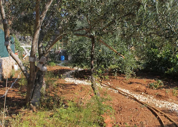8093b Mali Lošinj